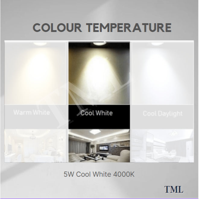 Philips LED Surface Spotlight Downlight 5W Cool White 4HOME SINGAPORE - 4HOME