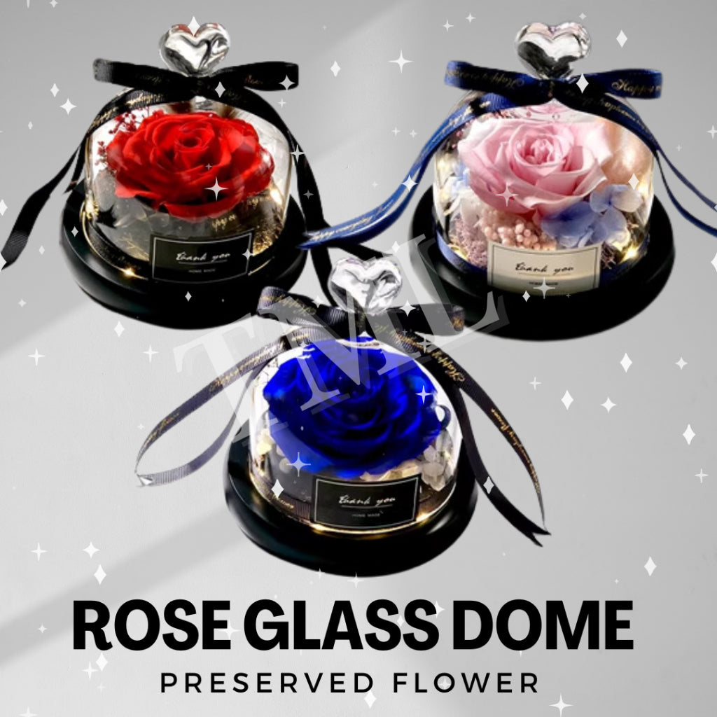 Valentine Gift Preserved Rose Flower Glass Dome with LED light Romantic | Birthday Anniversary | Gift for Her 4HOME SINGAPORE - 4HOME