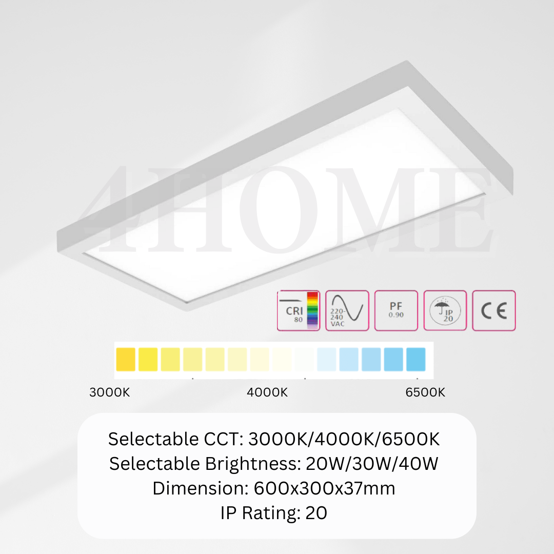 Premium Extra Bright Rectangular LED Surface Light 60x30 Kitchen Living Hall Bedroom 4HOME SINGAPORE - 4HOME