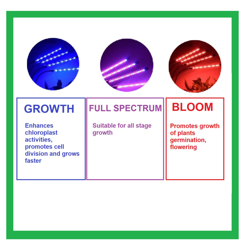 [SG Seller] Plant LED Grow Light USB Full Spectrum with Timer Indoor Hydroponic Vegetable Lamp 4HOME SINGAPORE - 4HOME