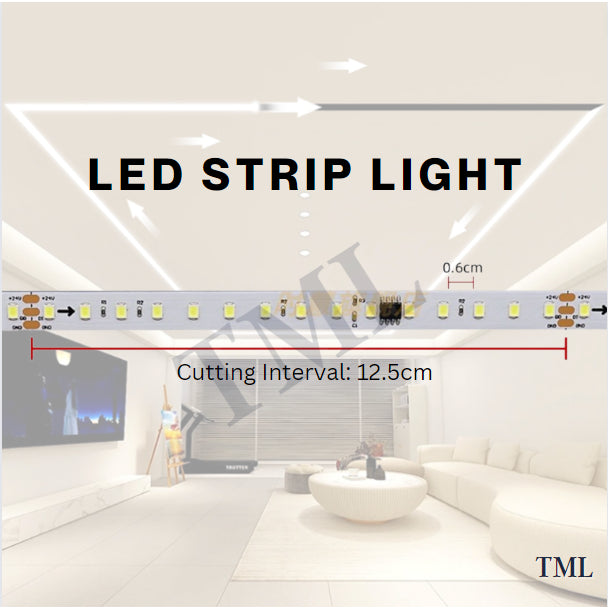 4HOME SINGAPORE Flowing Water Shooting Star Racing Horse LED Strip Light - 4HOME