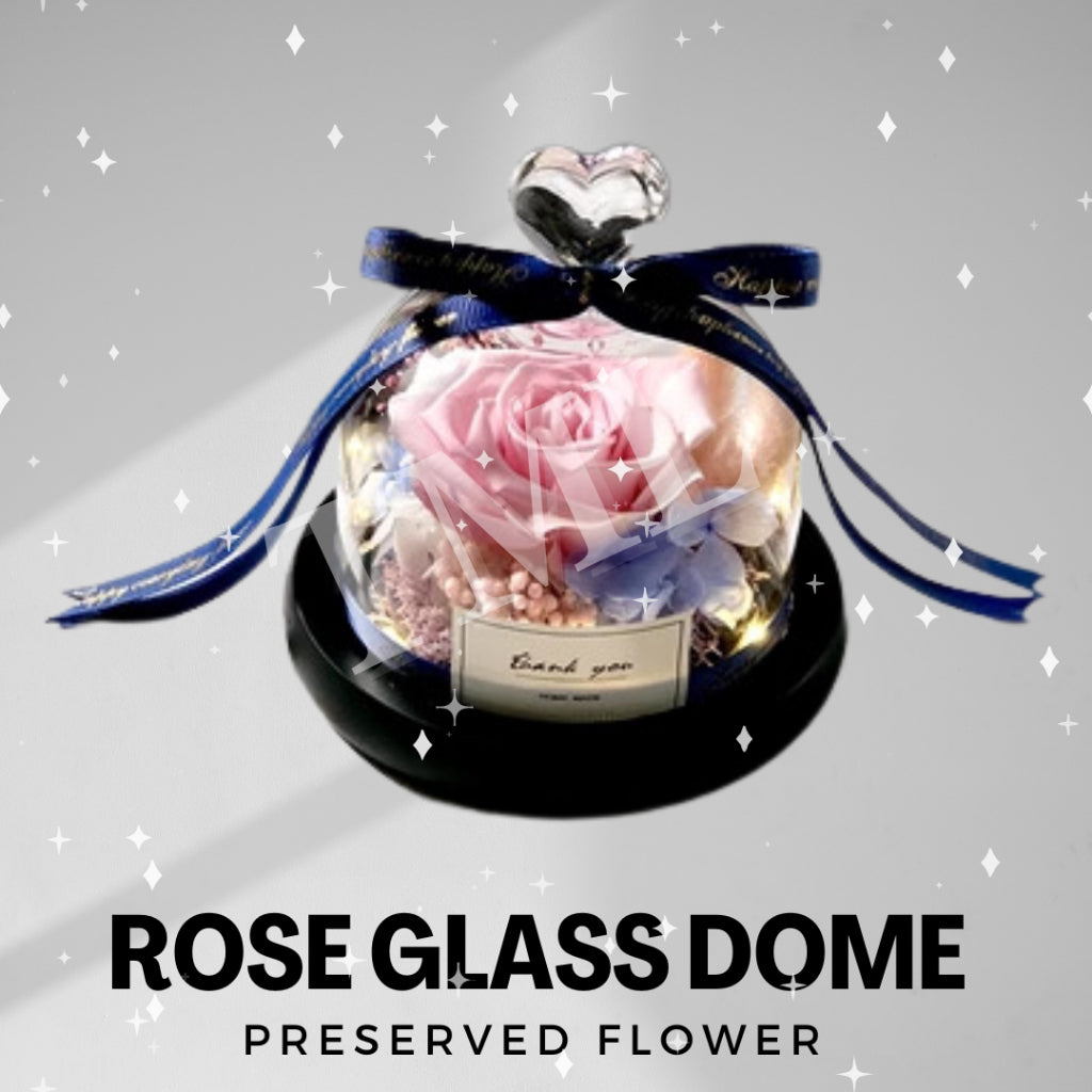 Valentine Gift Preserved Rose Flower Glass Dome with LED light Romantic | Birthday Anniversary | Gift for Her 4HOME SINGAPORE - 4HOME